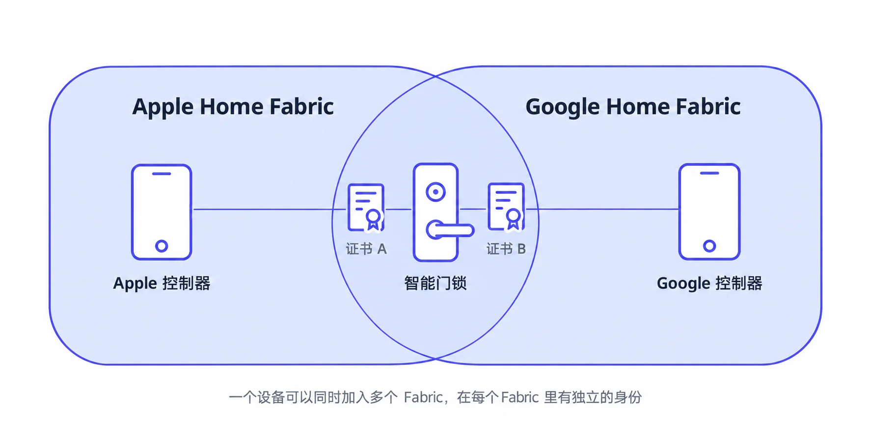 Fabric 示意：一把智能门锁同时处于 Apple Home Fabric 和 Google Home Fabric 中，在每个 Fabric 里持有独立的证书