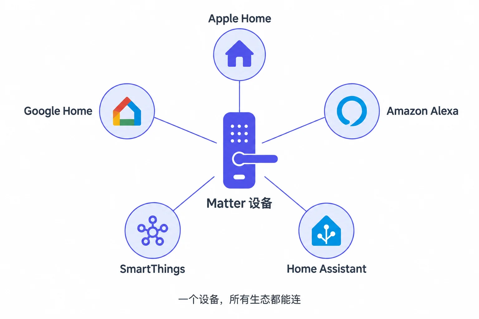 Matter 互通示意图:一个 Matter 设备可以同时被 Apple Home、Google Home、Amazon Alexa、SmartThings 和 Home Assistant 连接控制